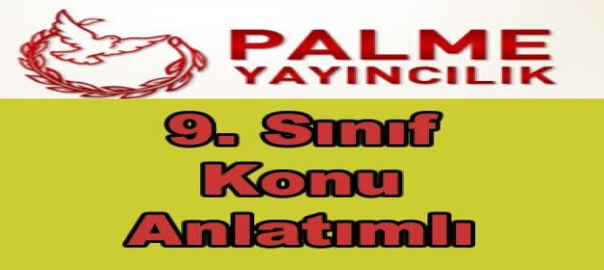 palme yayinlari 9 sinif konu anlatimli kitaplar pdf indir ebook