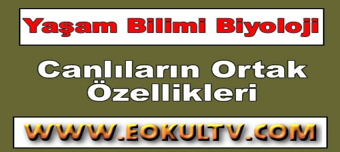 ders notu 9 sinif biyoloji tyt