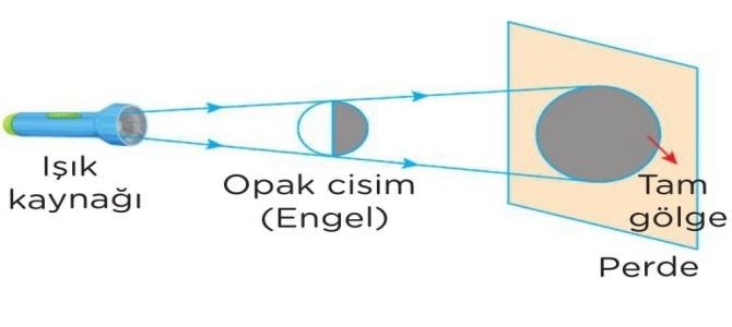 tam golge 5 sinif fen bilimleri konu anlatimi