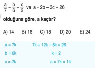 9 sınıf matematik oran orantı problemleri ve çözümleri kısa