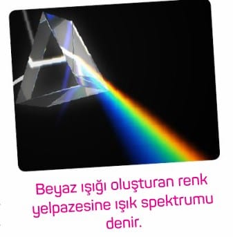 Ana Renkler Merakli Cocuk