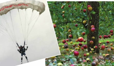 Serbest Düşme Hareketi 11. Sınıf Fizik içeriğine ait görsel