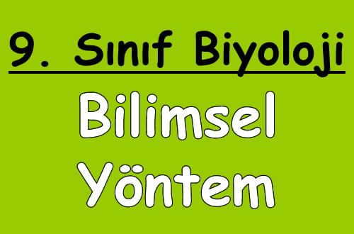 Bilimsel Yöntem 9. Sınıf Biyoloji içeriğine ait görsel