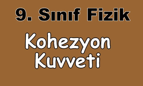 Kohezyon Kuvveti 9.Sınıf Fizik içeriğine ait görsel