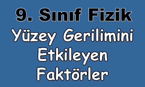 Yüzey Gerilimini Etkileyen Faktörler 9.Sınıf Fizik içeriğine ait görsel