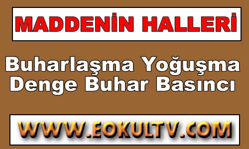 Buharlaşma, Yoğuşma, Denge Buhar Basıncı 9.Sınıf Kimya içeriğine ait görsel