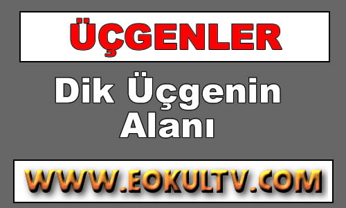 Dik Üçgenin Alanı içeriğine ait görsel