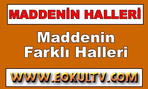 Maddenin Farklı Halleri ve Hal Değişimi 9. Sınıf Kimya içeriğine ait görsel