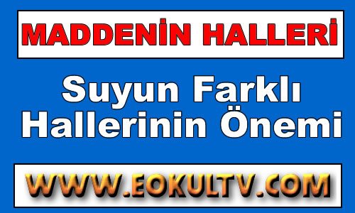 Suyun Farklı Hallerinin Önemi 9. Sınıf Kimya içeriğine ait görsel