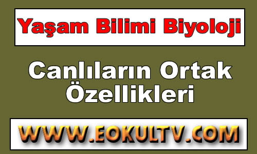 Canlıların Ortak Özellikleri 9. Sınıf Biyoloji (Yeni Müfredat) içeriğine ait görsel