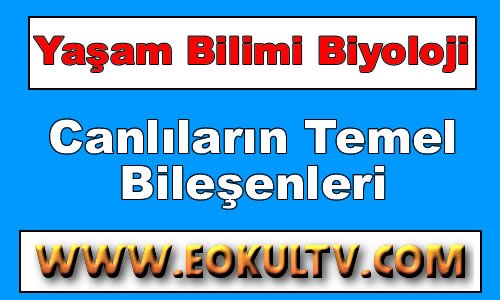 Canlıların Yapısında Bulunan Temel Bileşikler 9. Sınıf Biyoloji içeriğine ait görsel