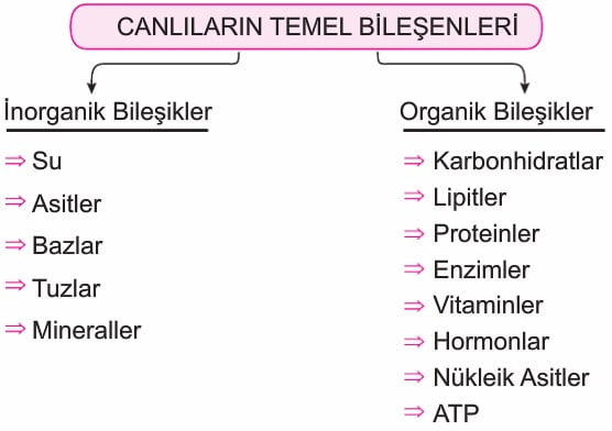 canlıların