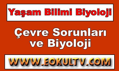 Çevre Sorunlarının Çözümünde Biyolojinin Katkıları 9.Sınıf Biyoloji içeriğine ait görsel