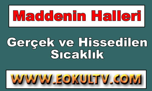 Bağıl Nem Gerçek ve Hissedilen Sıcaklık 9.Sınıf Kimya içeriğine ait görsel