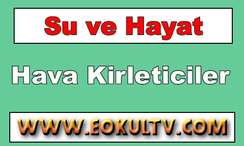 Hava Kirliliği (Kirleticiler) 9.Sınıf Kimya içeriğine ait görsel