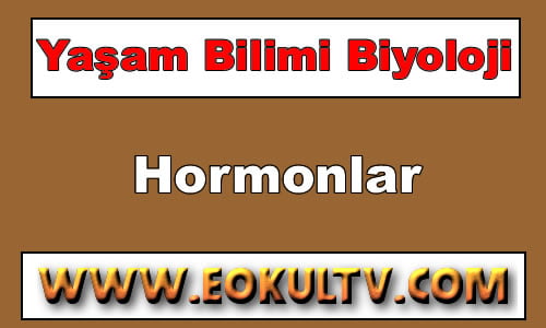 Hormonlar 9. Sınıf Biyoloji içeriğine ait görsel