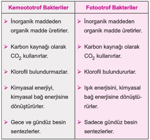 bakterilerin genel özellikleri