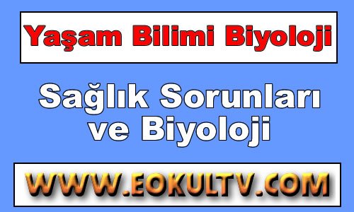 Sağlık Sorunlarının Çözümünde Biyolojinin Katkıları 9.Sınıf Biyoloji içeriğine ait görsel