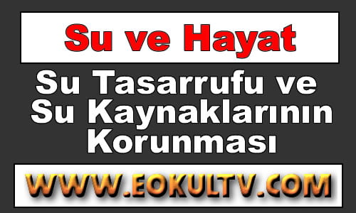 Su Tasarrufu ve Su Kaynaklarının Korunması 9.Sınıf Kimya içeriğine ait görsel