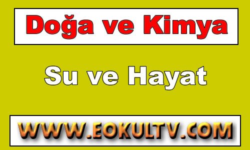 Su ve Hayat 9. Sınıf Kimya içeriğine ait görsel