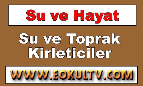 Su ve Toprak Kirleticiler 9.Sınıf Kimya içeriğine ait görsel