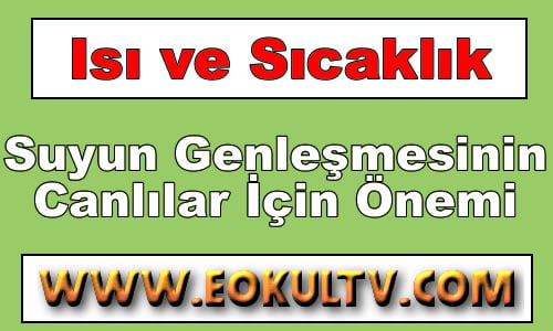 Suyun Genleşmesinin Canlılar İçin Önemi 9.Sınıf Fizik içeriğine ait görsel
