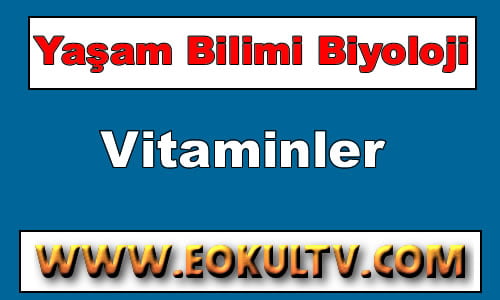 Vitaminler 9. Sınıf Biyoloji içeriğine ait görsel