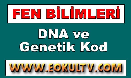 DNA ve Genetik Kod 8. Sınıf Lgs Fen Bilimleri Ders Notu içeriğine ait görsel