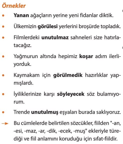 Fi I Li Msi Ler Lessons Tes Teach
