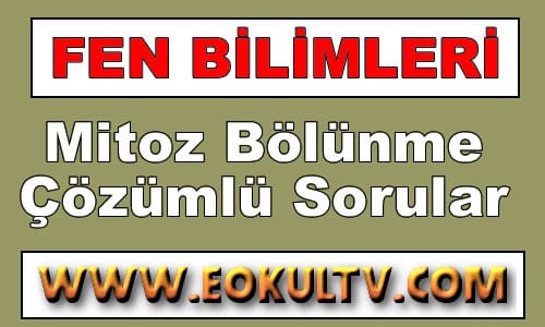 Mitoz Bölünme Çözümlü Sorular 8.Sınıf Fen içeriğine ait görsel