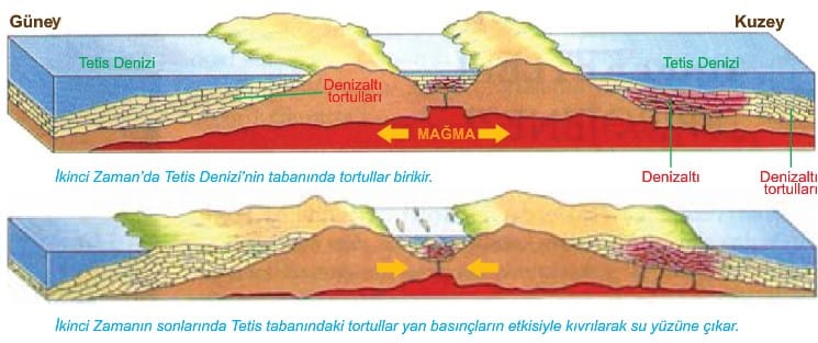 Jeolojik Zamanlar 10 Sinif