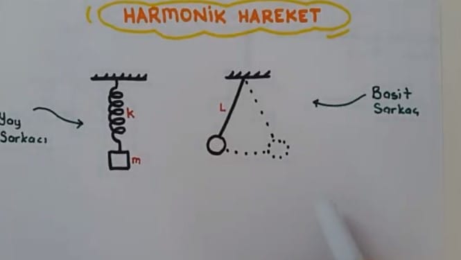 Basit Harmonik Hareket video konu anlatımı 12. sınıf fizik içeriğine ait görsel