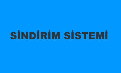 Sindirim Sistemi 6. Sınıf Fen içeriğine ait görsel
