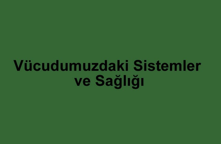 Vücudumuzdaki Sistemler ve Sağlığı 6. Sınıf Fen içeriğine ait görsel