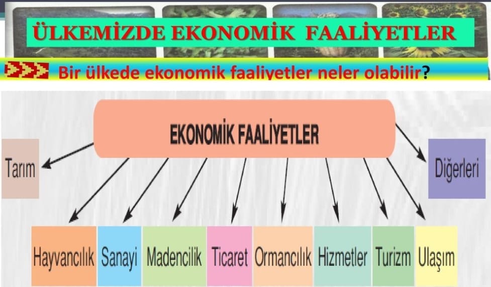 Ülkemizdeki Ekonomik Faaliyetler Nelerdir 5. Sınıf Sosyal içeriğine ait görsel