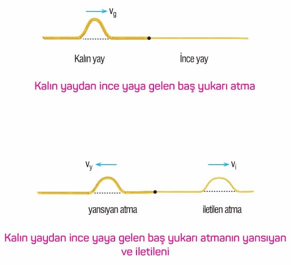 Yaylarda Atmanın Yansıması ve İletilmesi kısaca özet konu anlatımı fizik