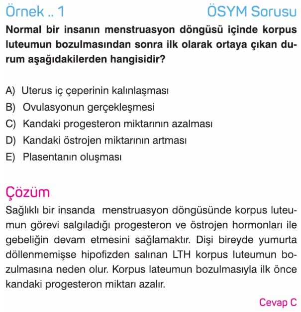Ureme Sistemi Ve Embriyonik Gelisim Sorulari Cozumleri Ornek 1