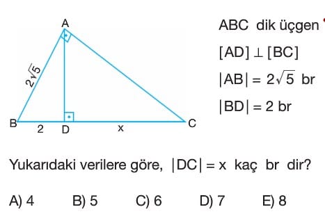 Dik Ucgende Pisagor Ve Oklid Bagintilari Test Sorulari Cozumleri 9 Sinif Tyt Matematik