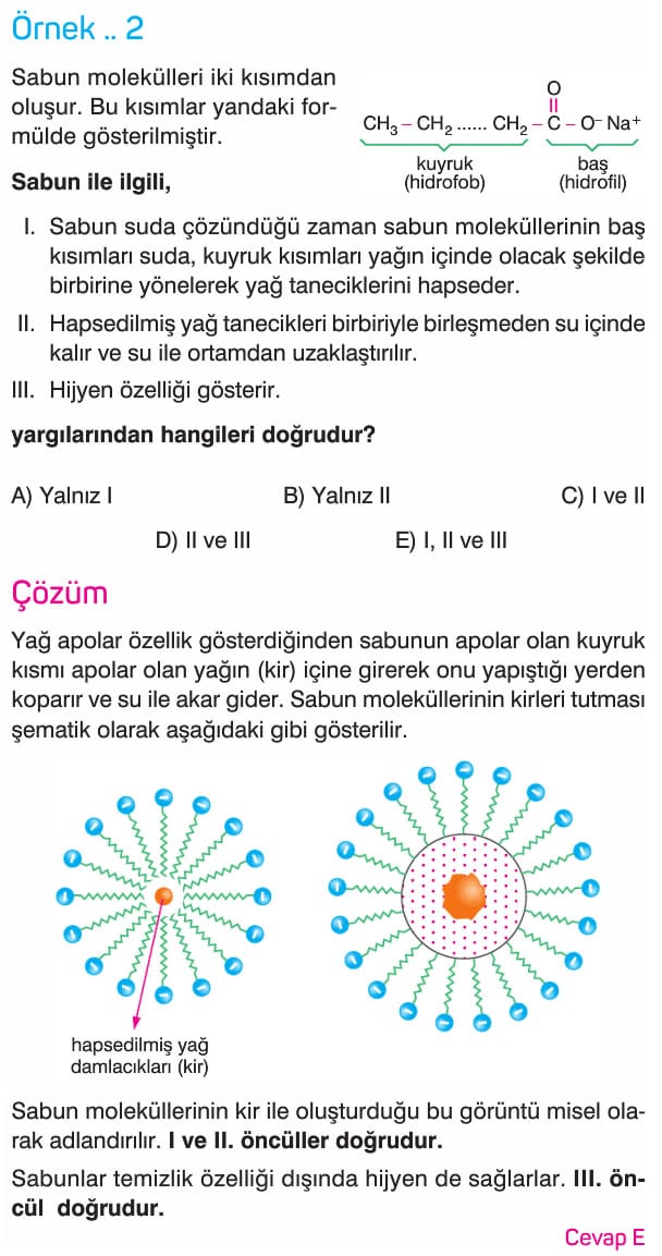 Temizlik Maddelerinin Ozellikleri Konu Anlatimi 10 Sinif Kimya