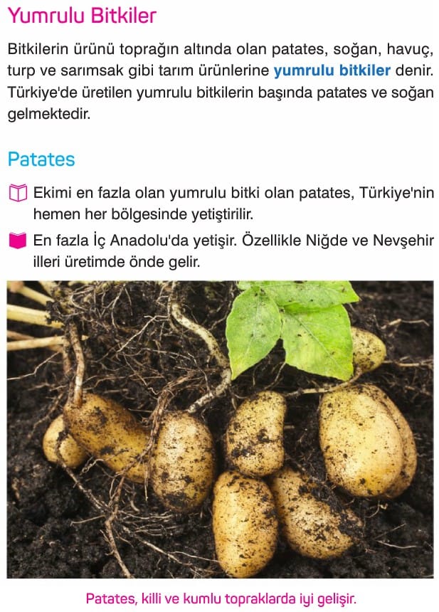 Türkiye'de Tarım Konu Anlatımı Özet 11. Sınıf Coğrafya