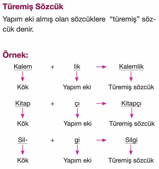 sozcukte yapi isim ve fiil kokleri yapim ekleri turkce 5 sinif