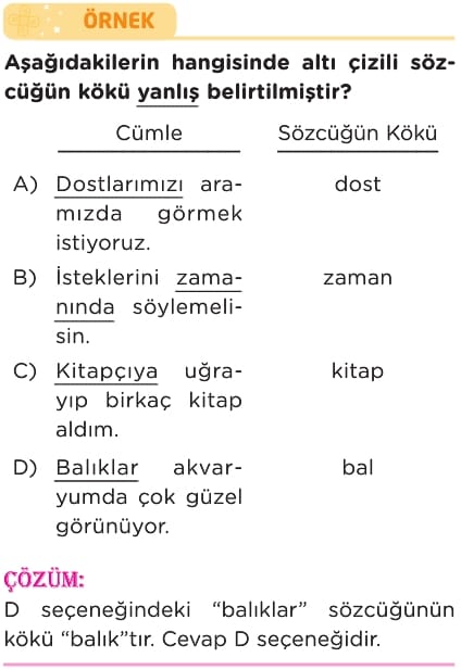 sozcuklerin kokleri ve kok cesitleri turkce 6 sinif konu anlatimi