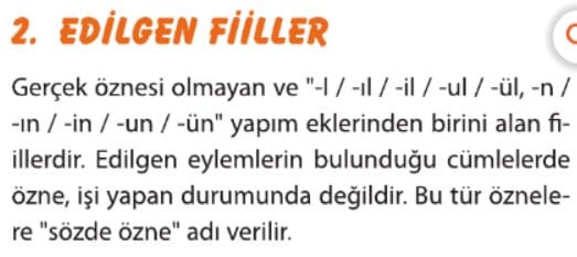Edilgen Fiiller 8. sınıf lgs 1