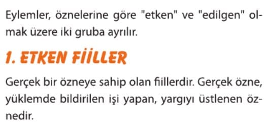 Etken Fiiller 8. sınıf lgs 1