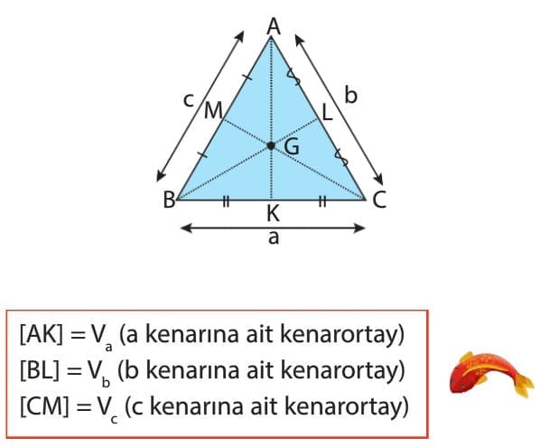 ucgende kenarortay aciortay ve yukseklik 8 sinif konu anlatimi lgs cozumlu sorular ucgenin yardimci elemanlari