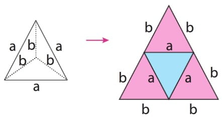 Dik-piramitin-a%C3%A7%C4%B1n%C4%B1m%C4%B1-8.-s%C4%B1n%C4%B1f-lgs-3.jpg