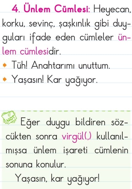Cümle Bilgisi 3.Sınıf Türkçe