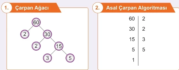 Asal Çarpan 6. Sınıf Matematik
