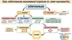 Özel Dörtgenler Arasındaki İlişkiler 11. Sınıf Matematik içeriğine ait görsel